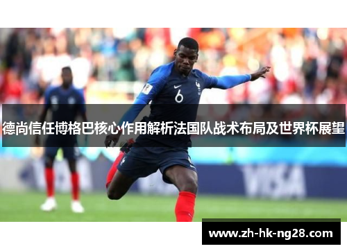 德尚信任博格巴核心作用解析法国队战术布局及世界杯展望