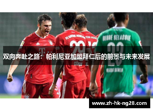 双向奔赴之路：帕利尼亚加盟拜仁后的前景与未来发展