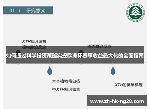 如何通过科学投资策略实现欧洲杯赛事收益最大化的全面指南
