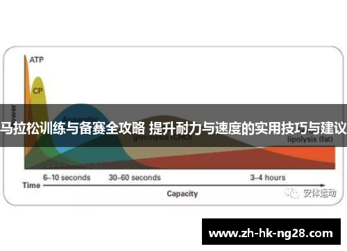 马拉松训练与备赛全攻略 提升耐力与速度的实用技巧与建议