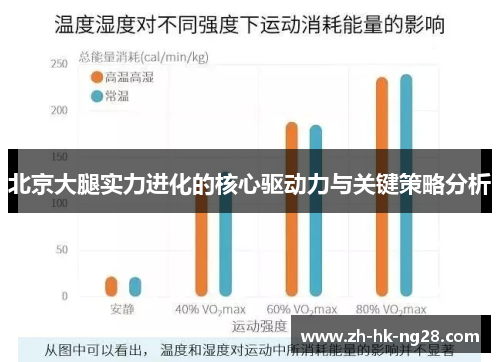 北京大腿实力进化的核心驱动力与关键策略分析