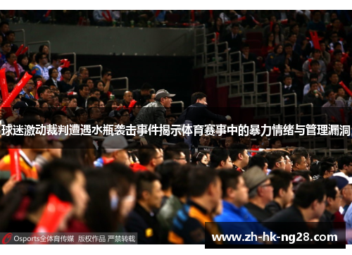 球迷激动裁判遭遇水瓶袭击事件揭示体育赛事中的暴力情绪与管理漏洞